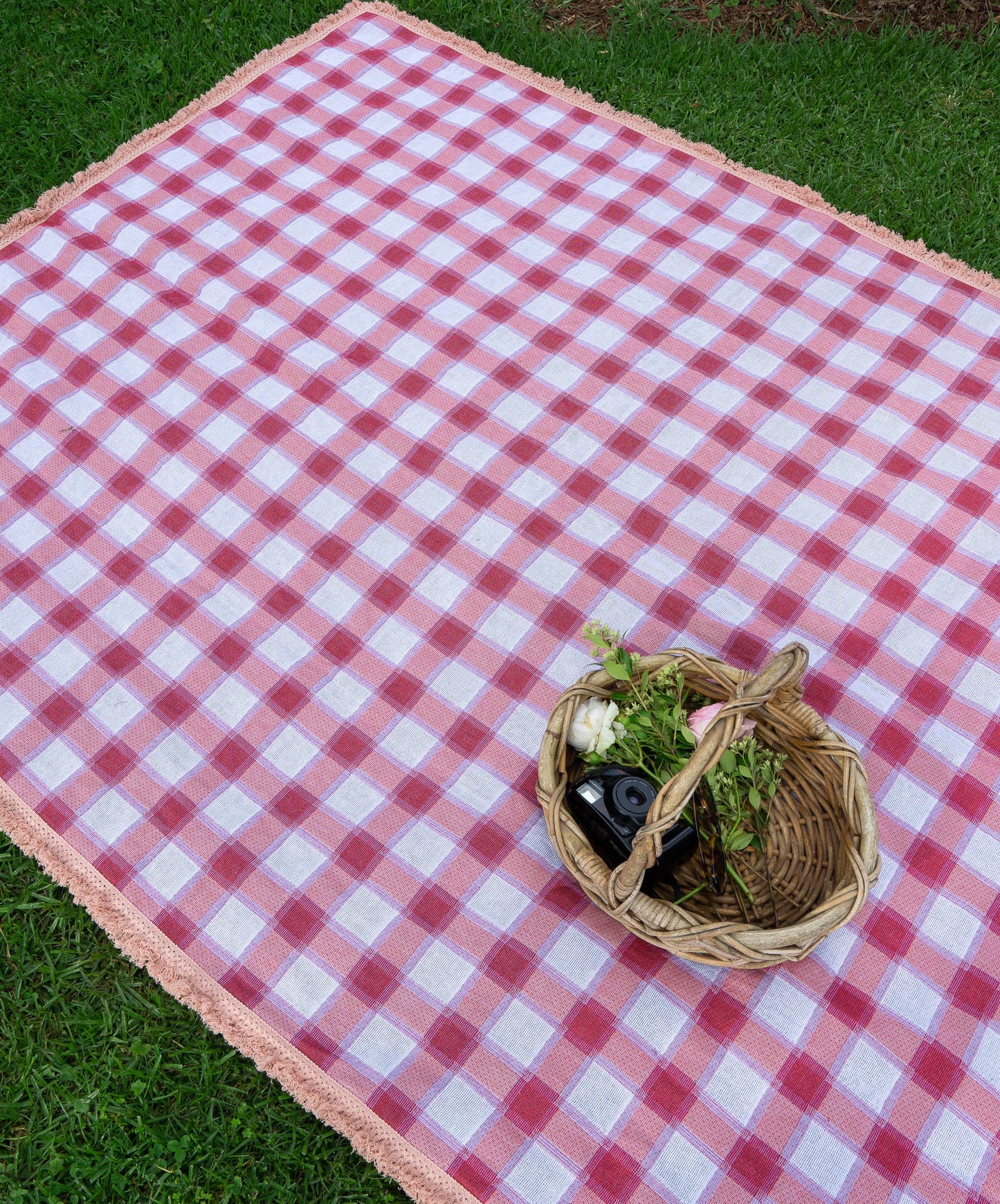 The Red Gingham Rug