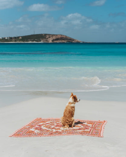 The Daisy Pink Rug