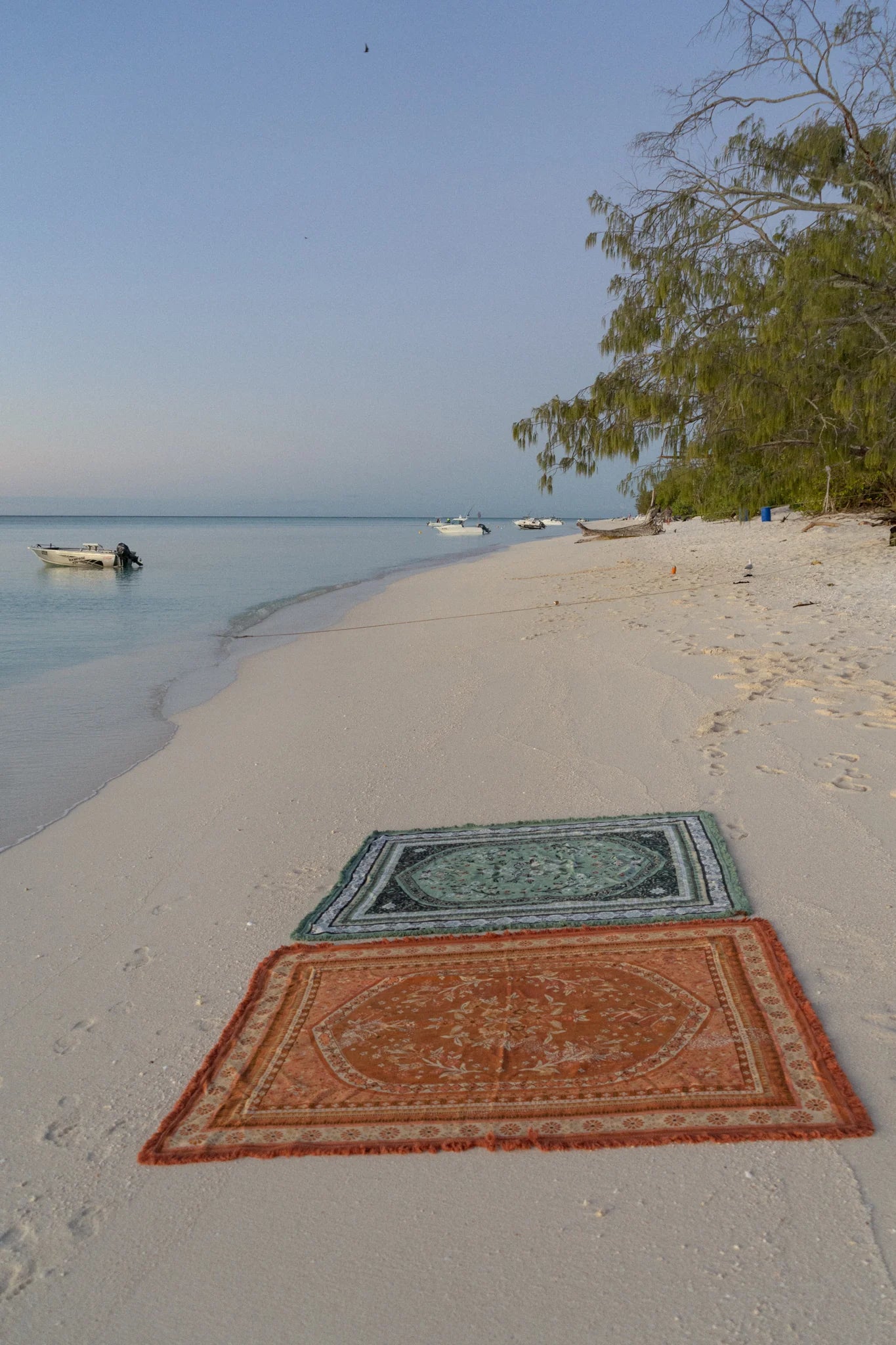The Desert Rug